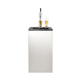 VEVOR Beer Kegerator, Single Tap Commercial Draft Beer Dispenser for D system, Refrigerator With Shelves, Hold 1 Sixth Keg, 2.5lbs CO2 Tank, 92L