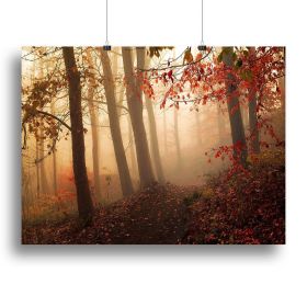 Towards The Light Canvas Print or Poster (Type: Poster Print, size: 28" x 20" / 70cm x 50cm (approx))