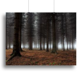 Place Of Silence Canvas Print or Poster (Type: Standard Framed Canvas Print, size: 28" x 20" / 70cm x 50cm (approx))